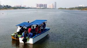 Surprise In The Ocean